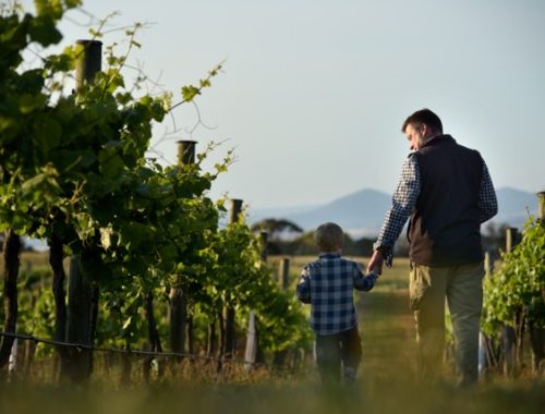 Family Bennett on the vineyard